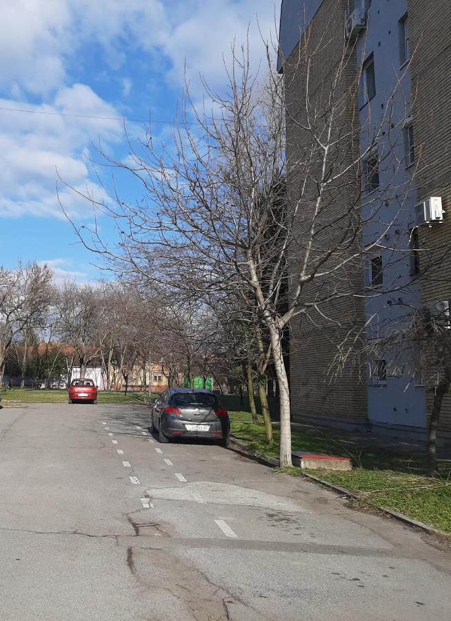Koks Apartmans Subotica Eksteriør billede